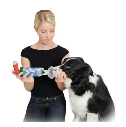 AeroDawg Chamber Large ( cámara espaciadora para perros > 9 kg )