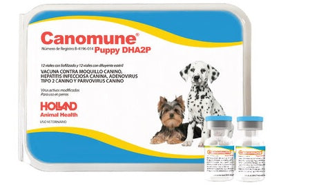 Canomune Puppy DHA2P ( VACUNA CUADRUPLE ) 1 DOSIS INDIVIDUAL REQUIERE TRANSPORTARSE EN FRÍO LLAME PARA COTIZAR ENVÍO