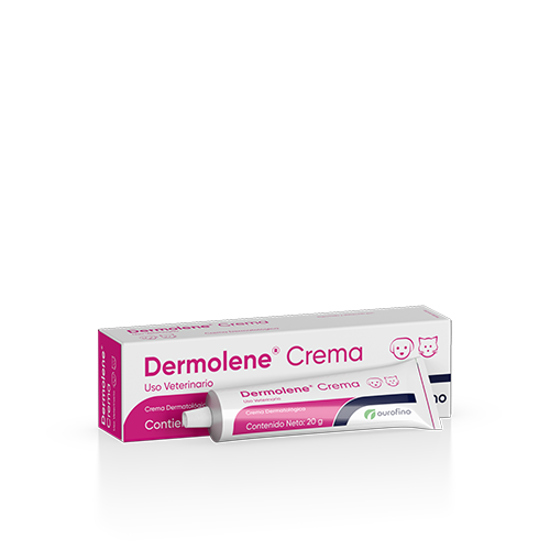 Dermolene 20 gr ( Crema Dermatólogica - infecciones )