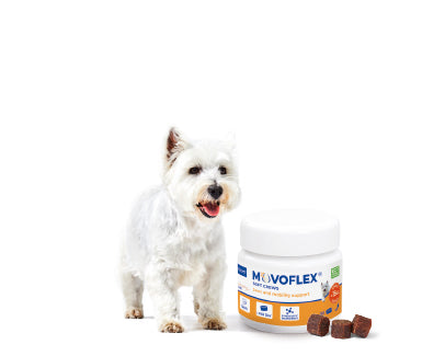Movoflex S 30 Comprimidos Masticables ( Articulaciones ) perros hasta 15 kg
