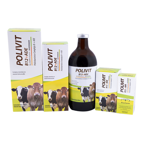 Polivit B 12 + ADE Frasco con 50 ml
