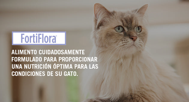 Fortiflora gato probióticos 30 sobres ( fortiflora feline ) REQUIERE TRANSPORTARSE EN FRÍO LLAME PARA COTIZAR ENVÍO