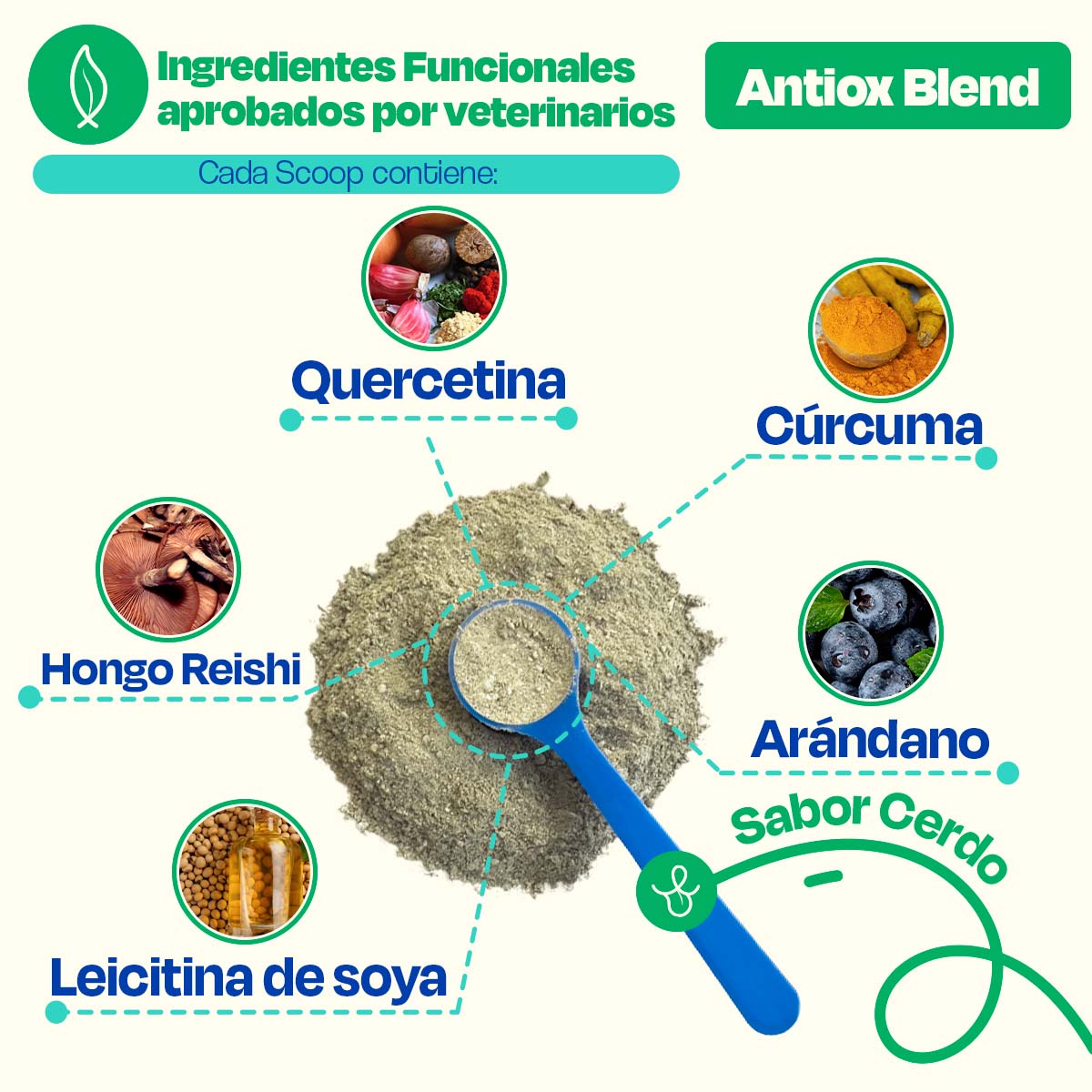 Dogelthy Antiox Blend Sabor Cerdo 270 g (Antioxidante para Perros)