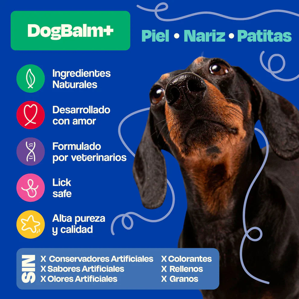 Dogelthy Dog BALM STICK 50 gr ( Bálsamo Hidratante para Piel, Patitas y Nariz Anti Resequedad y Agrietamiento )