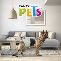 Pañal Especial para perro Macho tamaño Grande( 60-80 cm )