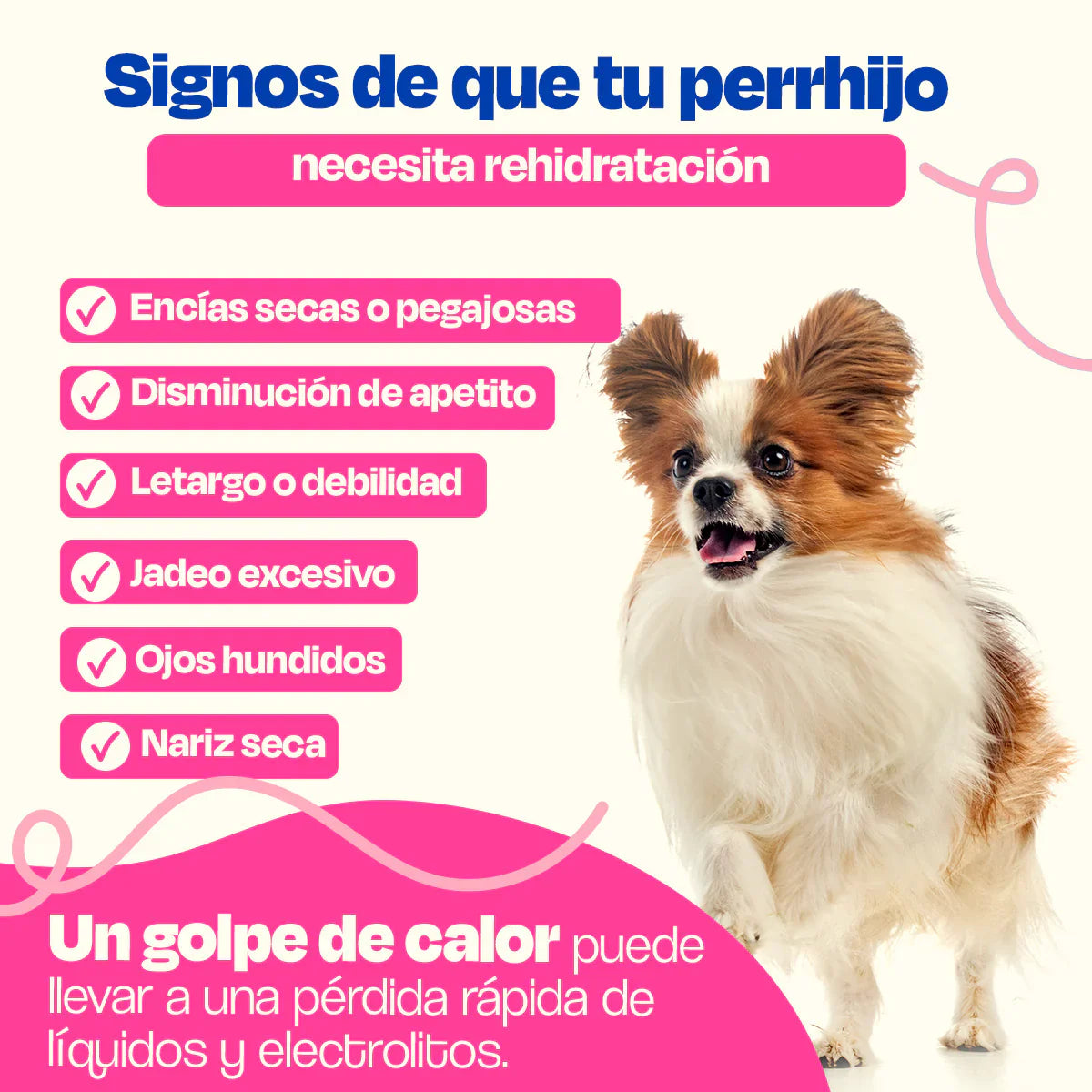 Dogelthy Hydratation Powder Sabor Res 150 gr ( Electrolitos para Perros )