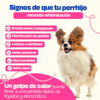 Dogelthy Hydratation Powder Sabor Res 150 gr ( Electrolitos para Perros )